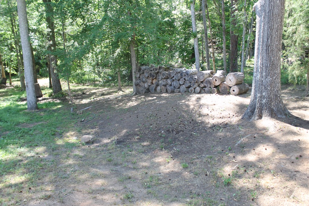 7375 Riverfork Road Waterloo, SC 29384 - Photo 38 of 50