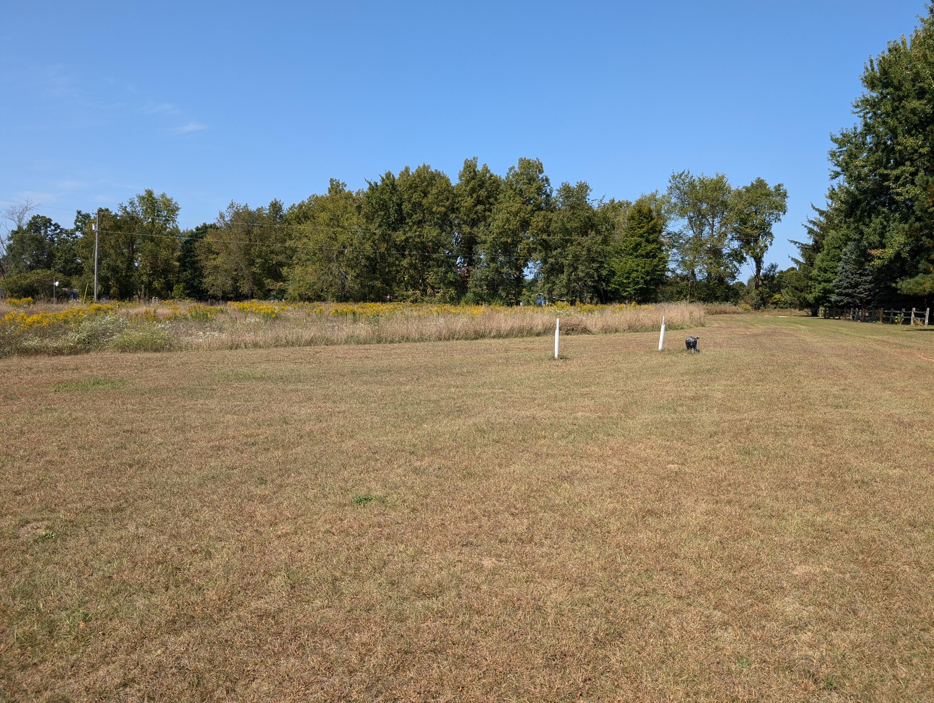 1655 West Boyer Road Fenwick, MI 48834 - Photo 6 of 22 PXL_20240916_183739546