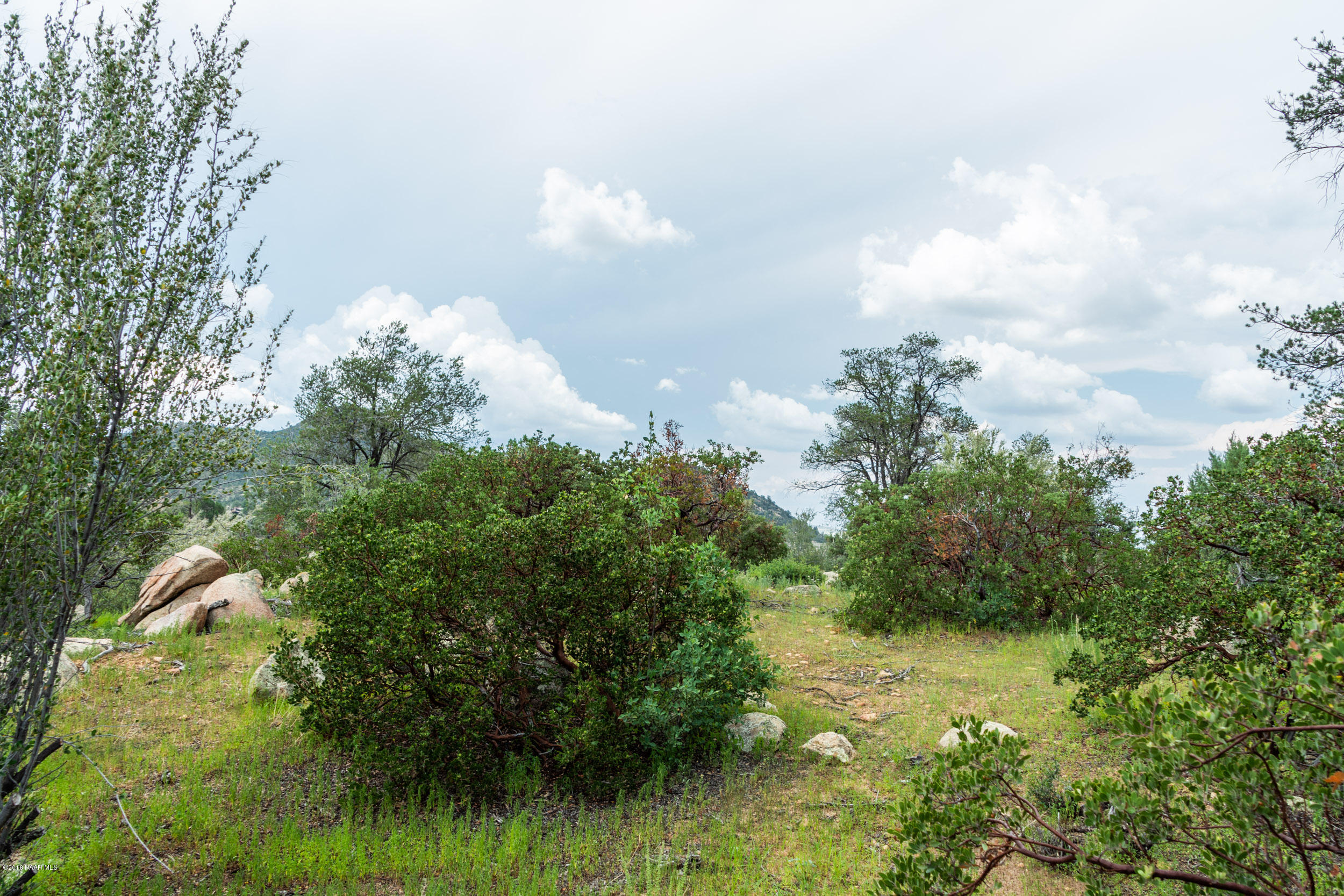 2110 Forest Mountain Road Prescott, AZ 86303 - Photo 23 of 24 DSC_3947