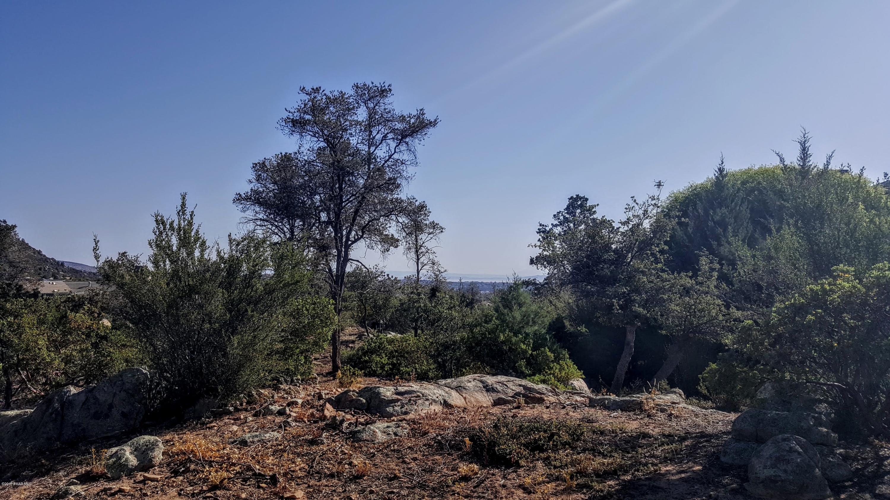 2110 Forest Mountain Road Prescott, AZ 86303 - Photo 4 of 24 View Lot