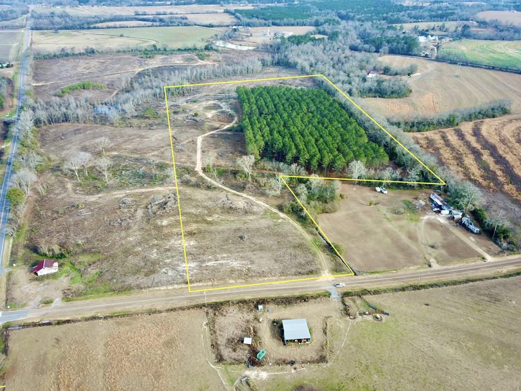 20-acres Hudson Road Columbia, AL 36319 - Photo 1 of 40
