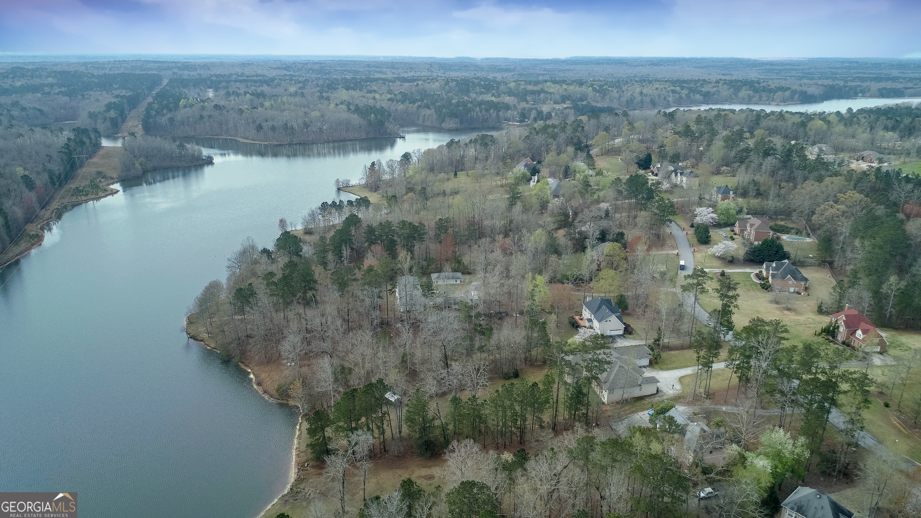 12283 Coldstream Court Hampton, GA 30228 - Photo 2 of 7 a view of a lake in middle of forest