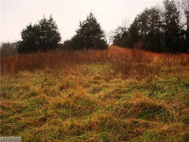 0 Whitney Road Graham, NC 27253 - Photo 1 of 3 Land.