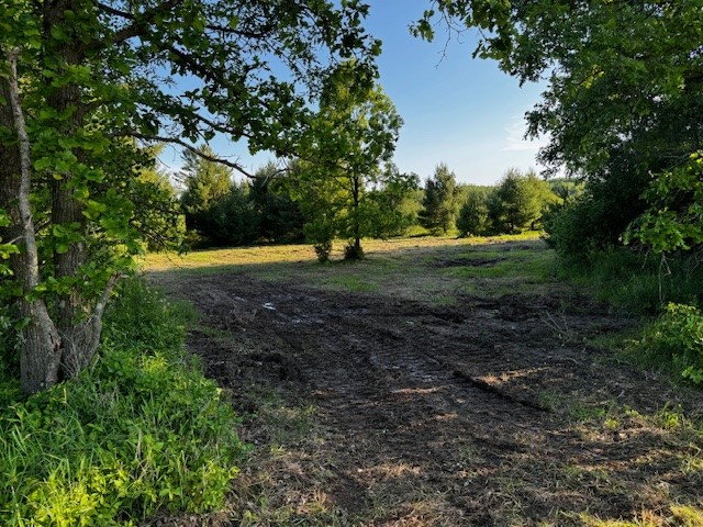 0 Granton Road Neillsville, WI 54456 - Photo 2 of 33