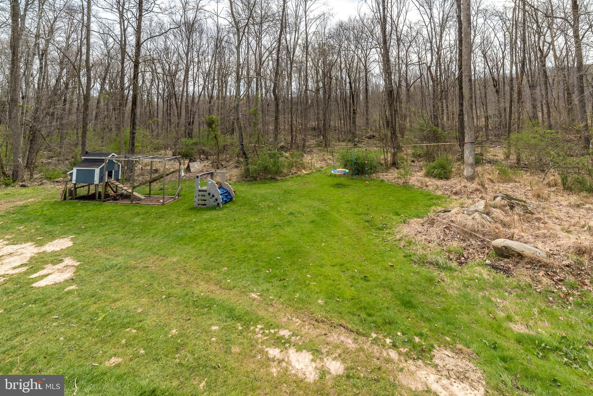 568 Kulp Road Perkiomenville, PA 18074 - Photo 33 of 34 View of woods