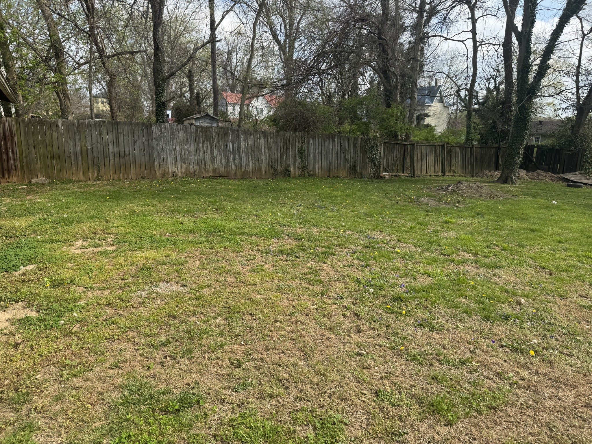 402 East Locust Street Princeton, KY 42445 - Photo 31 of 32 a view of a backyard