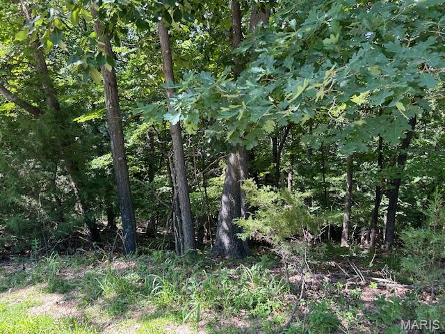 817 Wildflower Valley Road High Ridge, MO 63049 - Photo 3 of 11