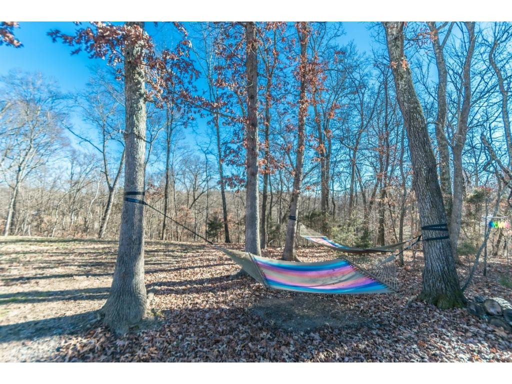 490 Rangewood Road Piney Flats, TN 37686 - Photo 35 of 36 Photo 35