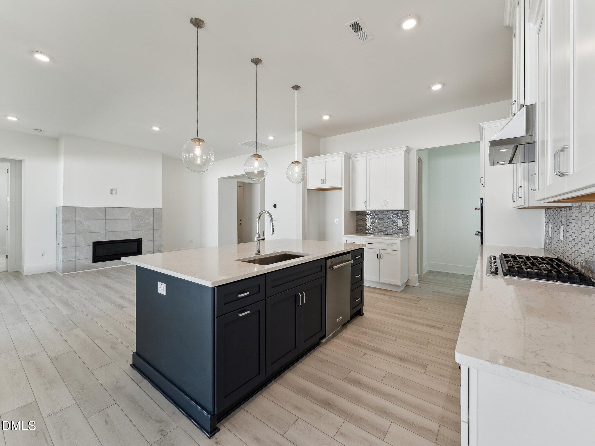 209 Mugby Road, Unit 172 Raleigh, NC 27610 - Photo 6 of 17 173 kitchen 3