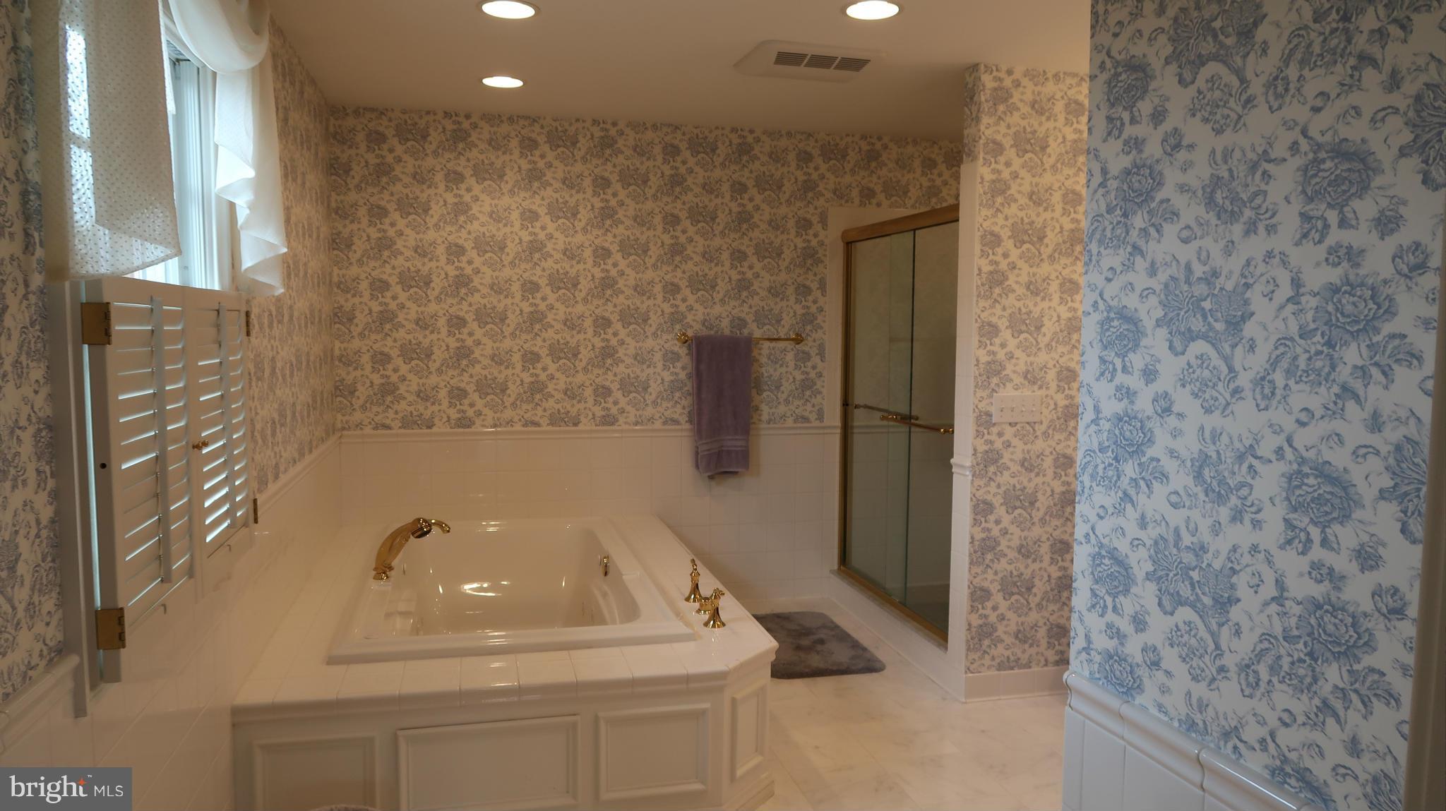 10350 Harp Road Walkersville, MD 21793 - Photo 14 of 20 Bath (Master)