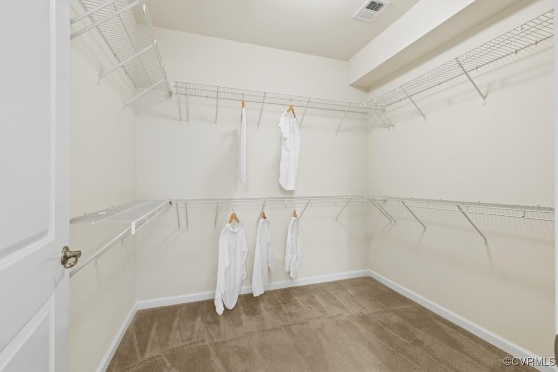 5801 Riverside Trail Richmond, VA 23225 - Photo 18 of 35 Spacious closet featuring carpet flooring