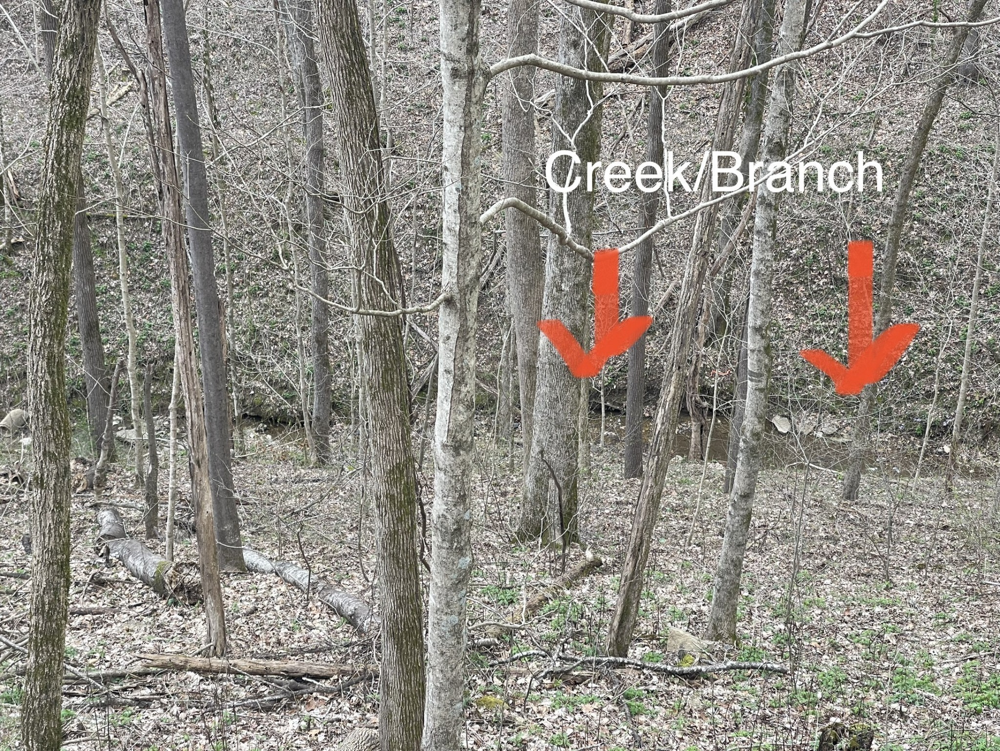 250 Possum Hollow Road Dowelltown, TN 37059 - Photo 13 of 31 a bathroom with a shower and a sink