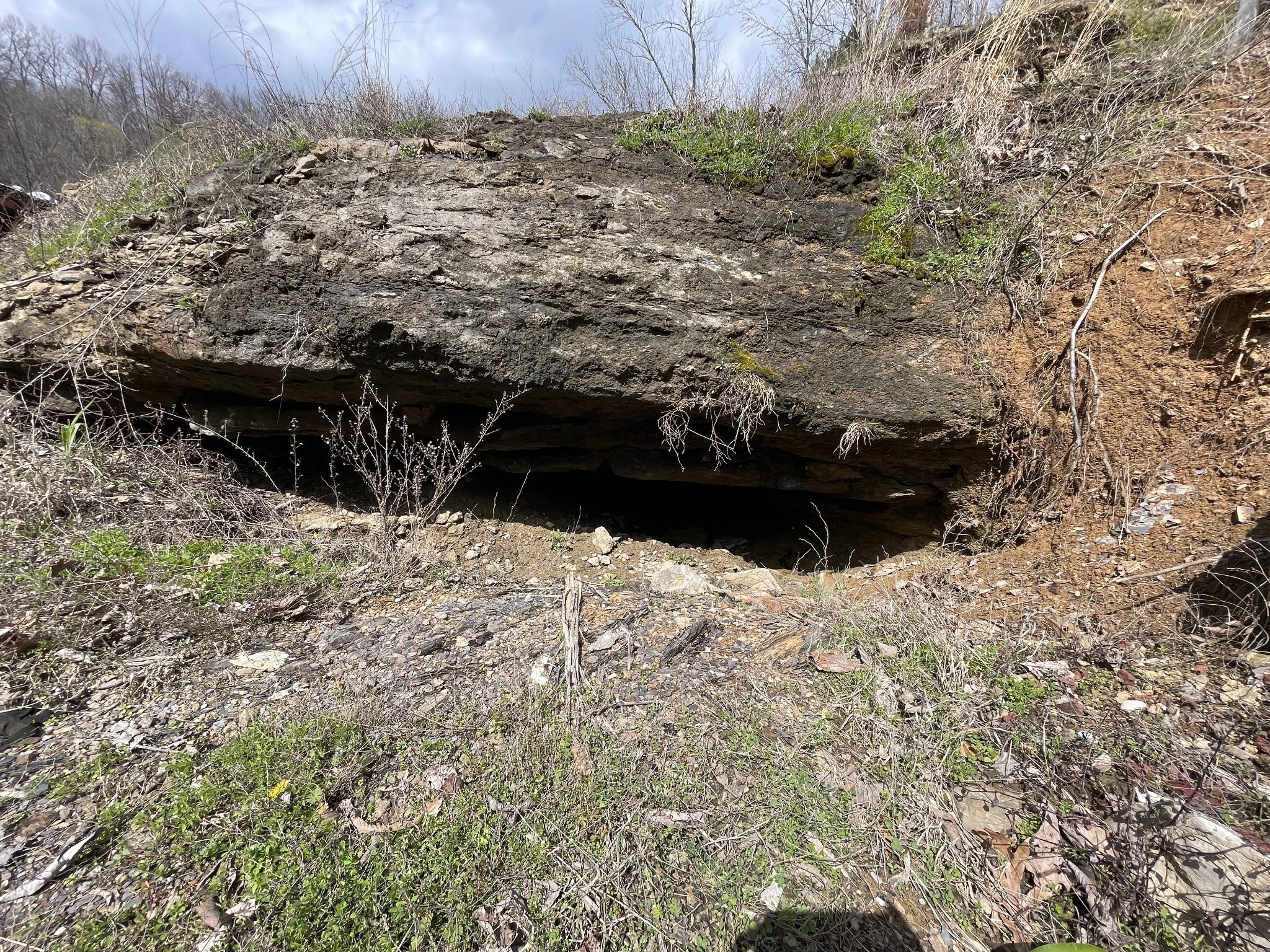 250 Possum Hollow Road Dowelltown, TN 37059 - Photo 15 of 31 a view of a yard