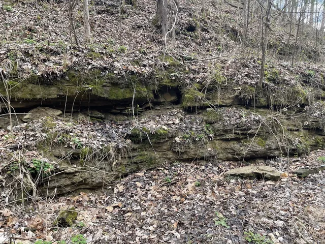 a view of a livingroom with wooden floor and stairs