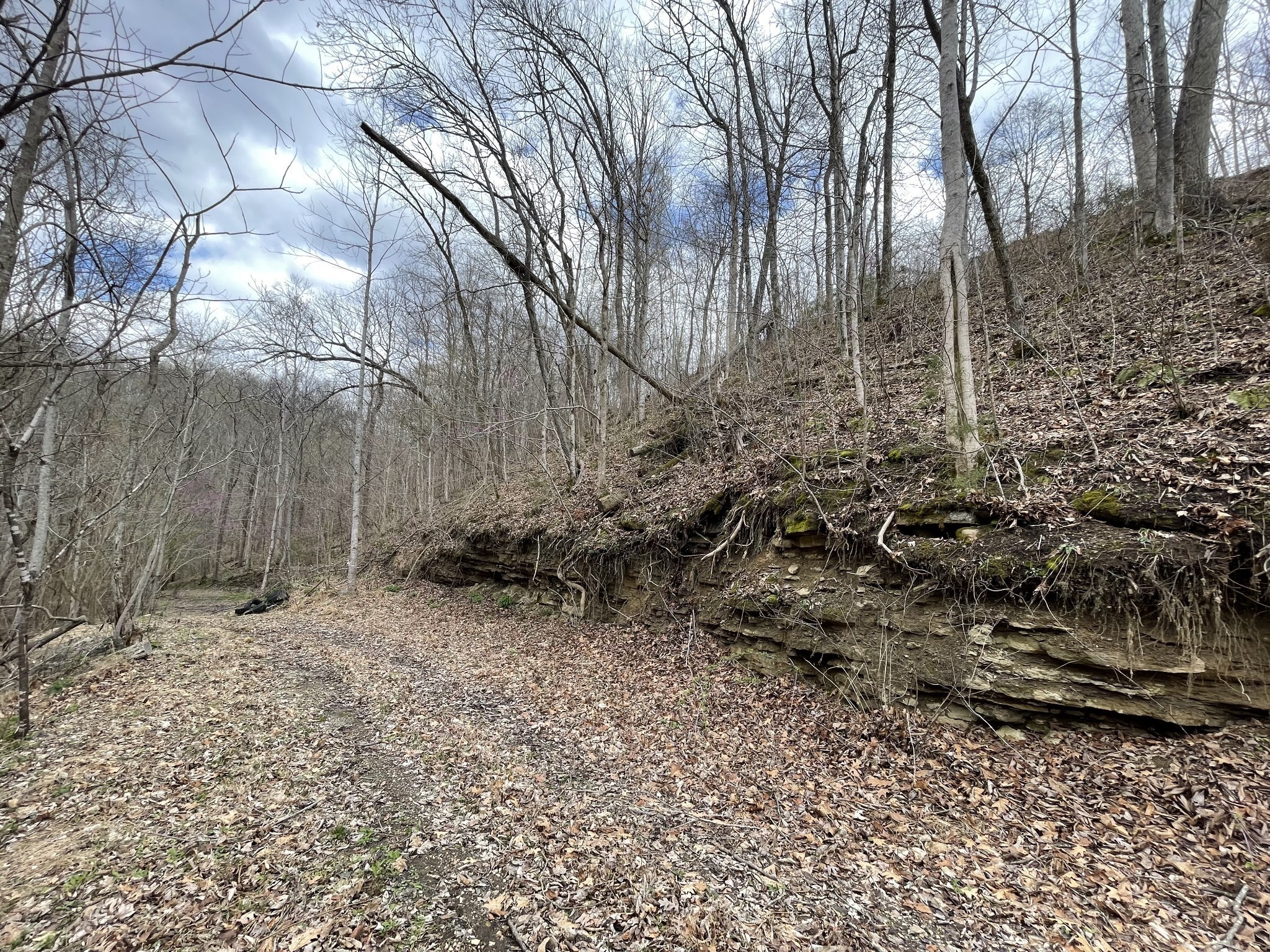 250 Possum Hollow Road Dowelltown, TN 37059 - Photo 28 of 31 a backyard of a house with lots of green space