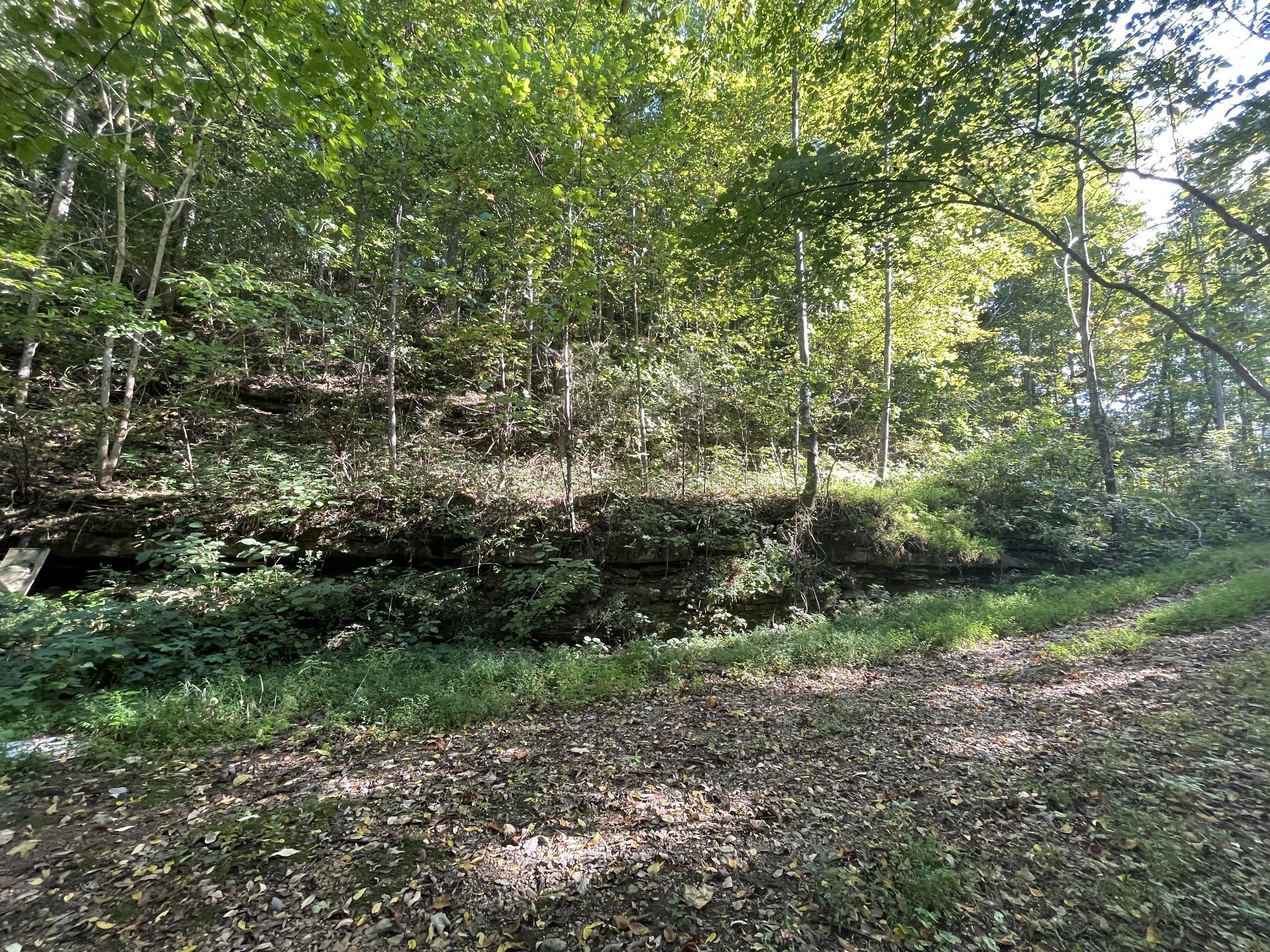 250 Possum Hollow Road Dowelltown, TN 37059 - Photo 9 of 31 a view of a large yard with lots of green space