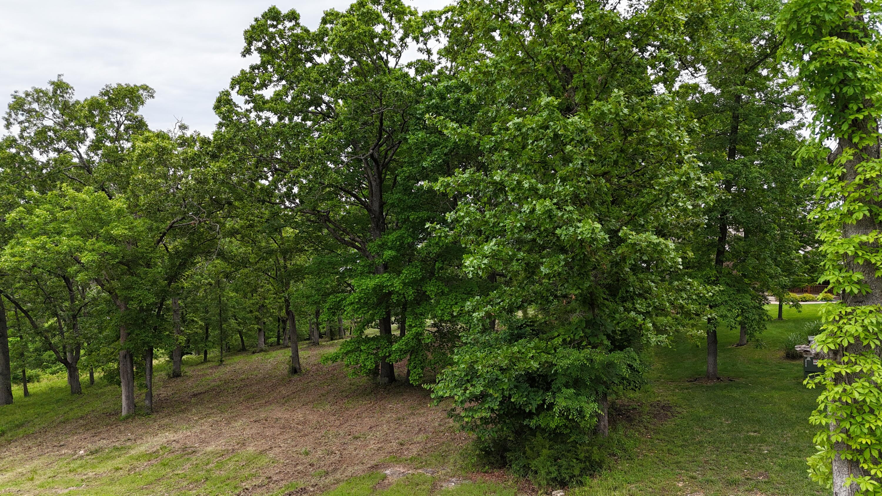 0 Eagles Point Lane Shell Knob, MO 65747 - Photo 14 of 39 DJI_20260501044200_0084_D
