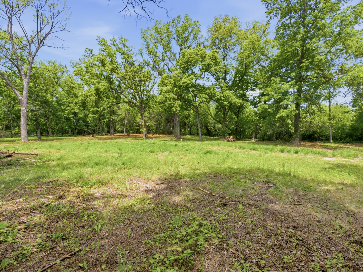 7N650 Sayer Road Bartlett, IL 60103 - Photo 4 of 13 a view of a grassy field with trees in the background