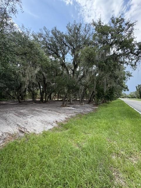 309 County Rd Crescent Crescent City, FL 32112 - Photo 5 of 5