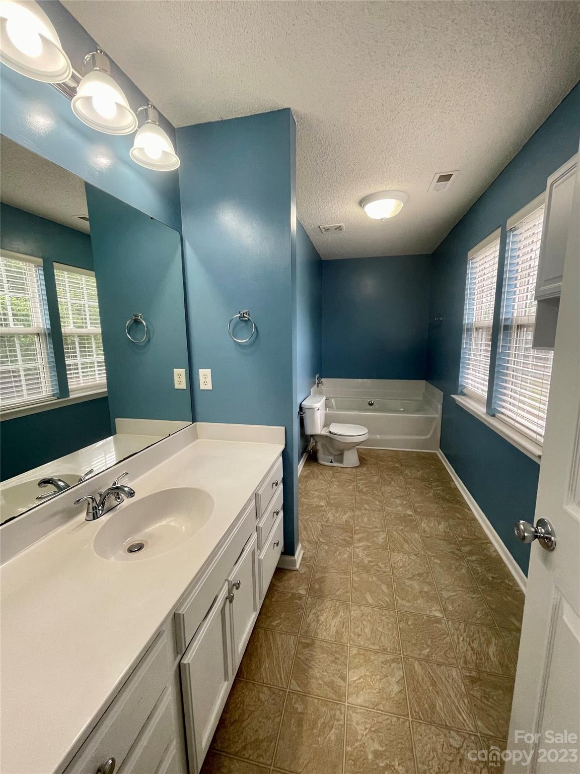 4045 Suttle Place Matthews, NC 28104 - Photo 33 of 42 a bathroom with a tub double vanity sink and a large mirror