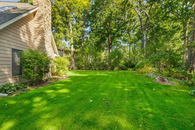 a view of yard with green space