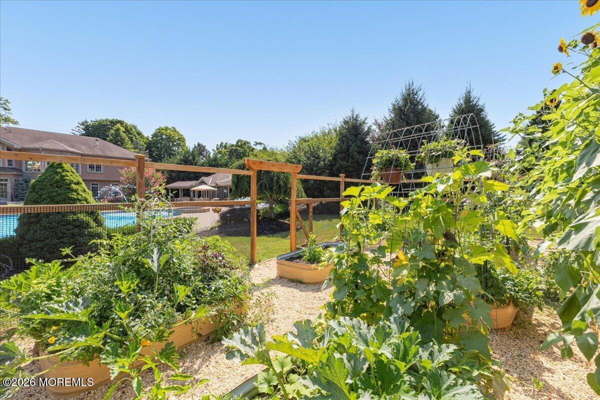 78 Crawfords Corner Road Holmdel, NJ 07733 - Photo 83 of 95 Vegetable Garden