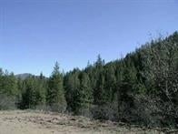 1132 Lighthill Road Fort Jones, CA 96032 - Photo 1 of 1 Gallery Image 1