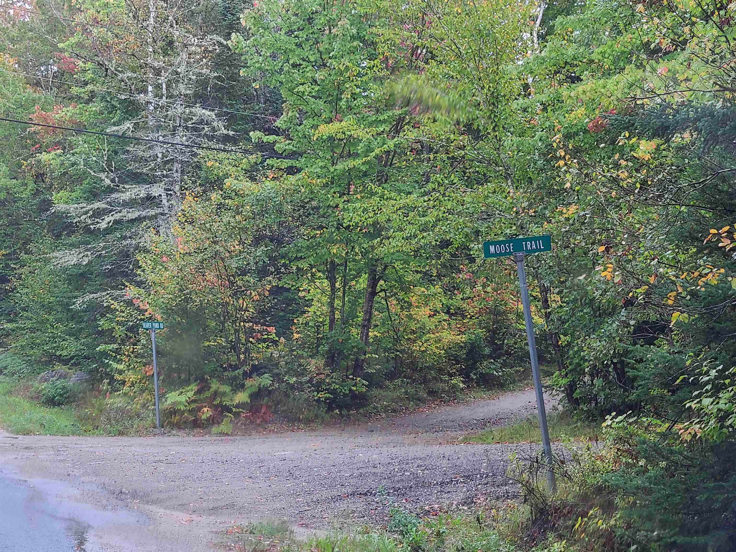 0 Moose Trail Road Bethlehem, NH 03574 - Photo 2 of 17 Gallery Image 2