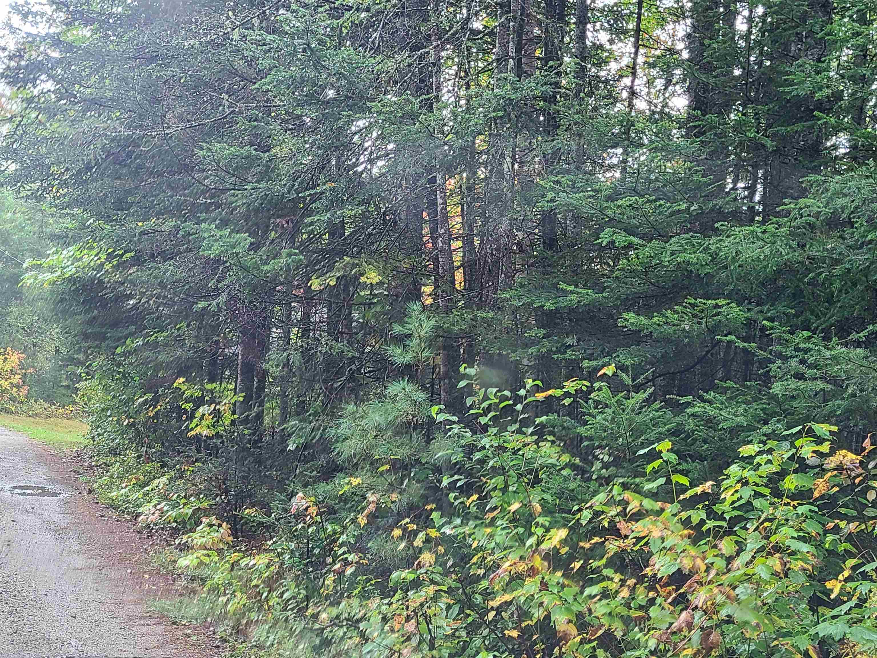 0 Moose Trail Road Bethlehem, NH 03574 - Photo 13 of 17 Gallery Image 13