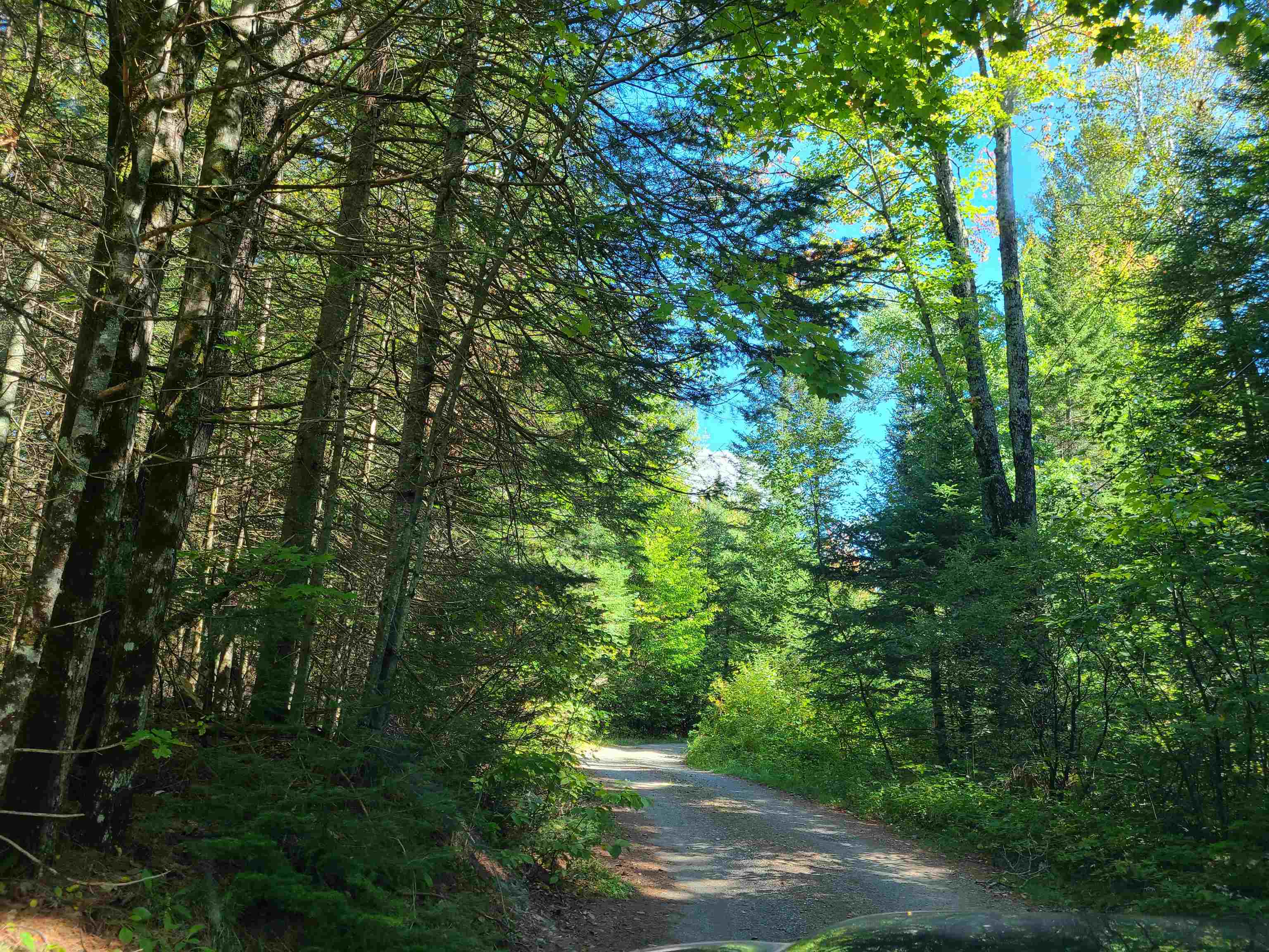 0 Moose Trail Road Bethlehem, NH 03574 - Photo 5 of 17 Gallery Image 5