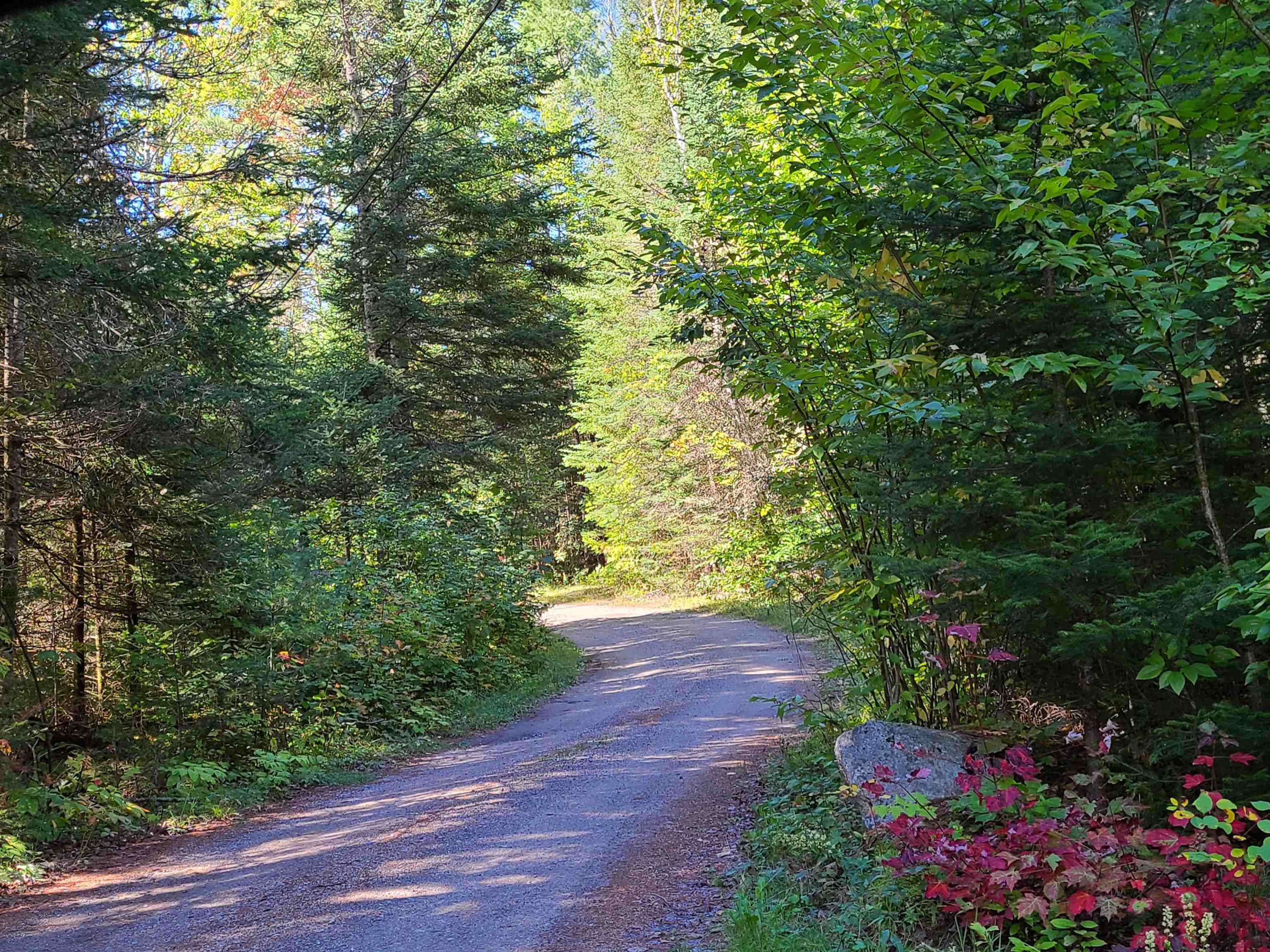0 Moose Trail Road Bethlehem, NH 03574 - Photo 6 of 17 Gallery Image 6