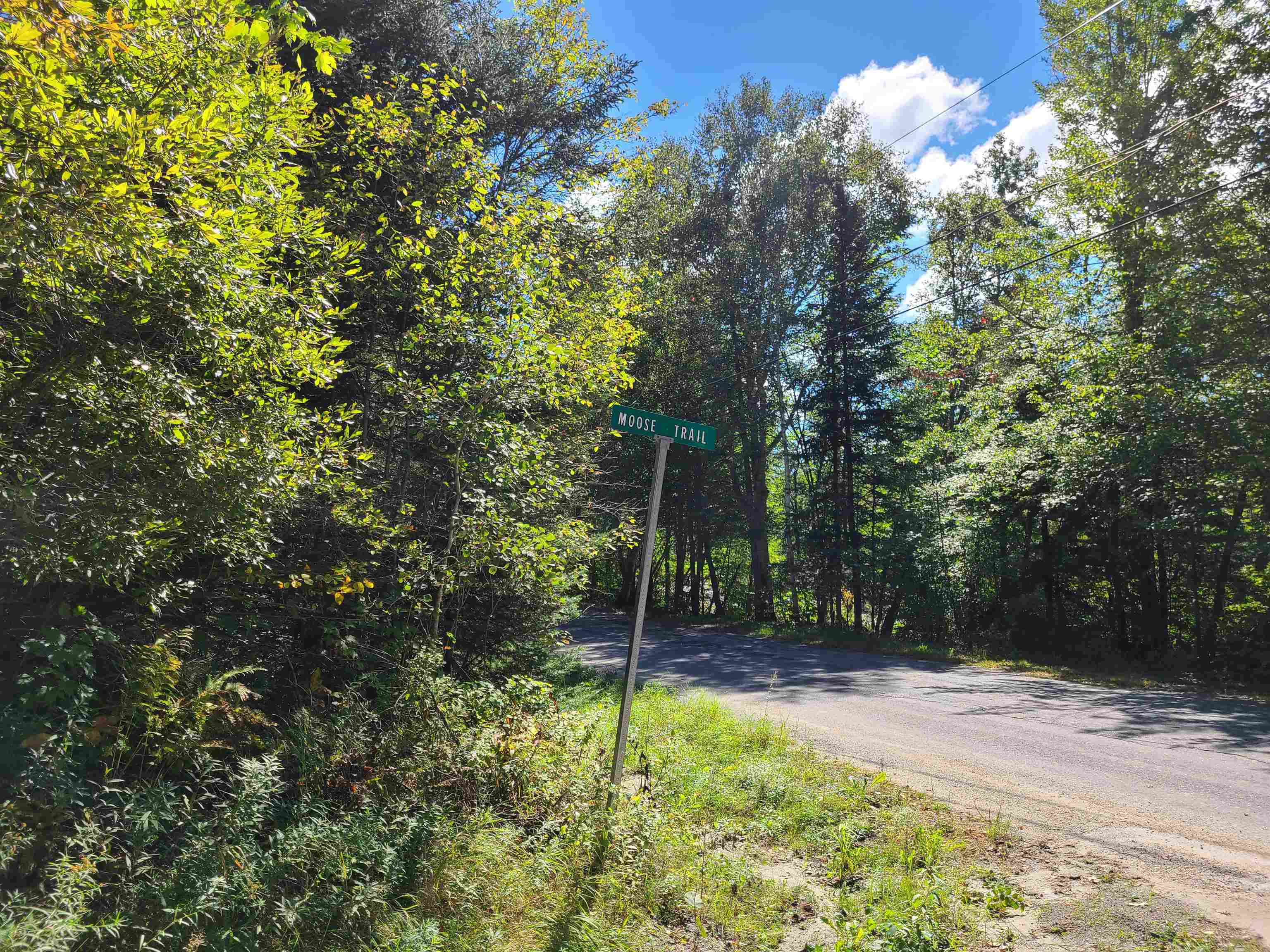 0 Moose Trail Road Bethlehem, NH 03574 - Photo 7 of 17 Gallery Image 7