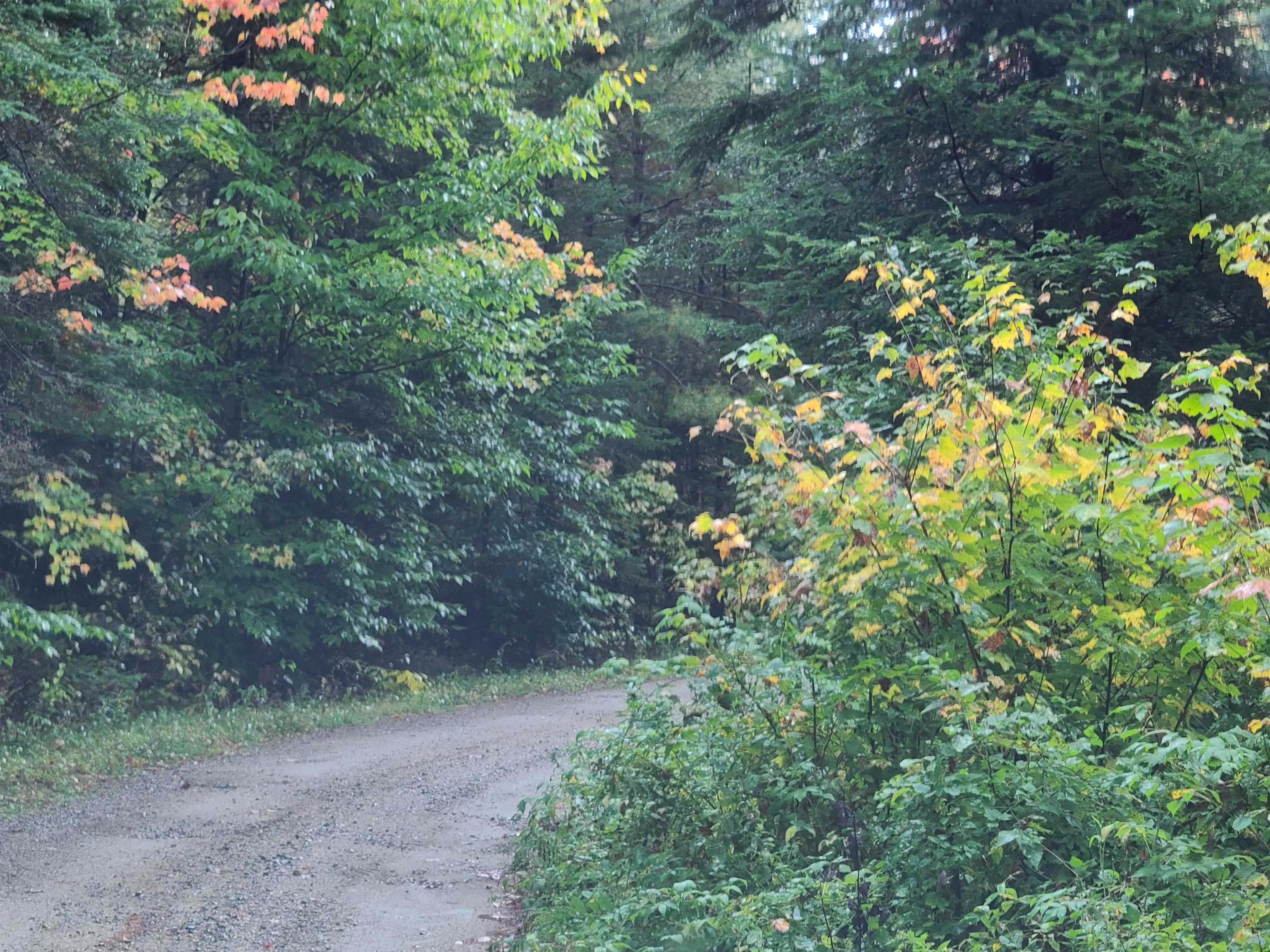 0 Moose Trail Road Bethlehem, NH 03574 - Photo 10 of 17 Gallery Image 10