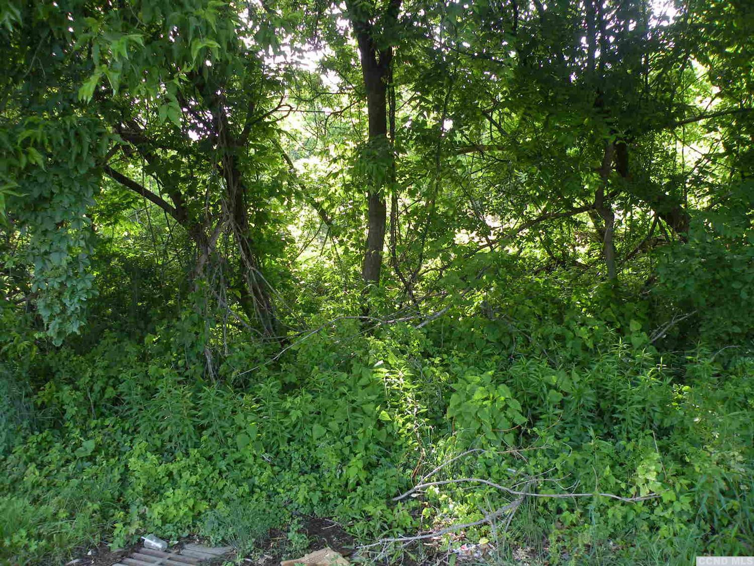 0 9w Catskill, NY 12414 - Photo 5 of 6 a view of a lush green forest