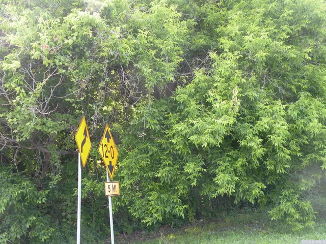 $59,000 | 0 9w, Catskill, NY 12414