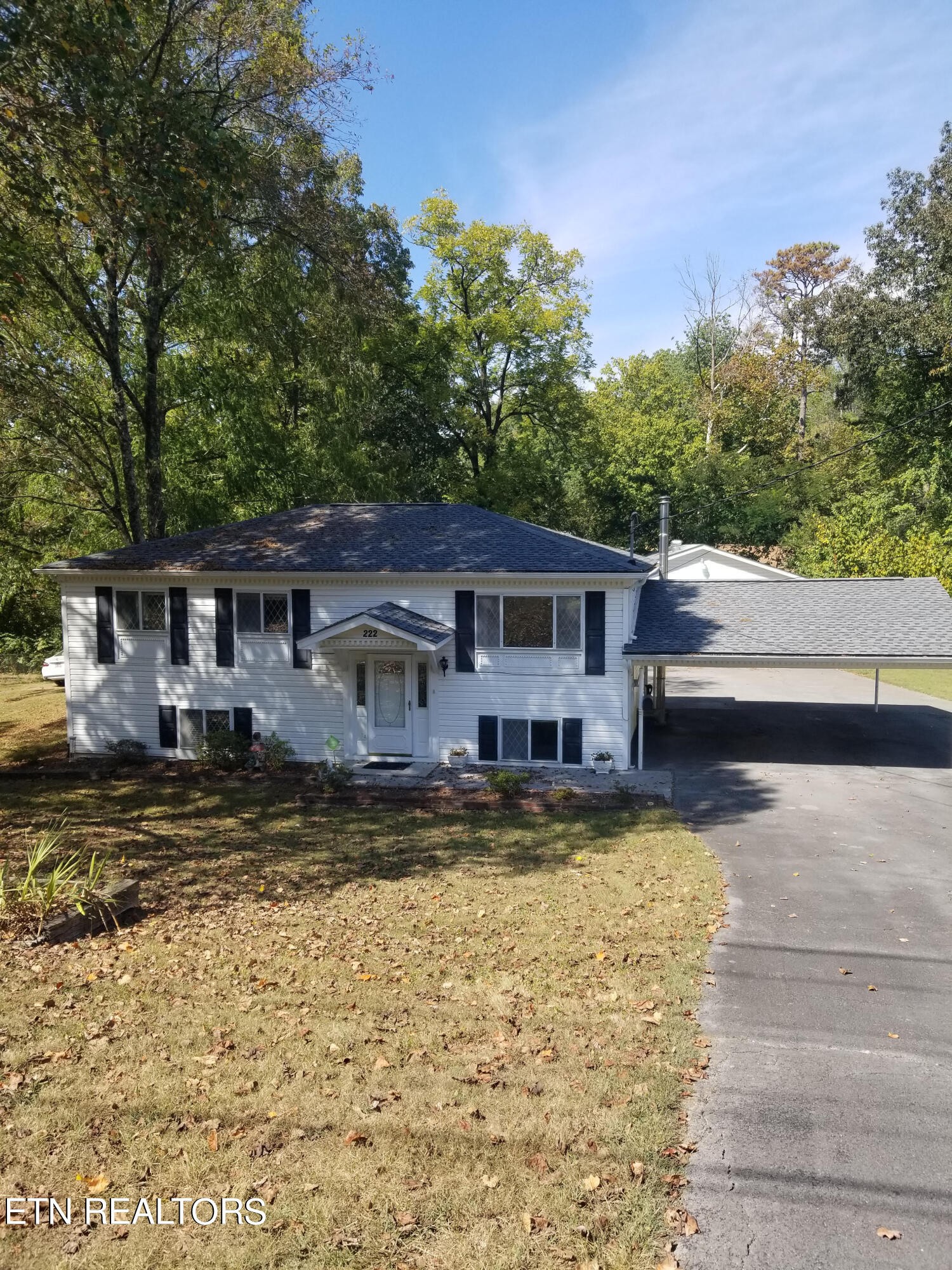 222 Manhattan Avenue Oak Ridge, TN 37830 - Photo 3 of 18