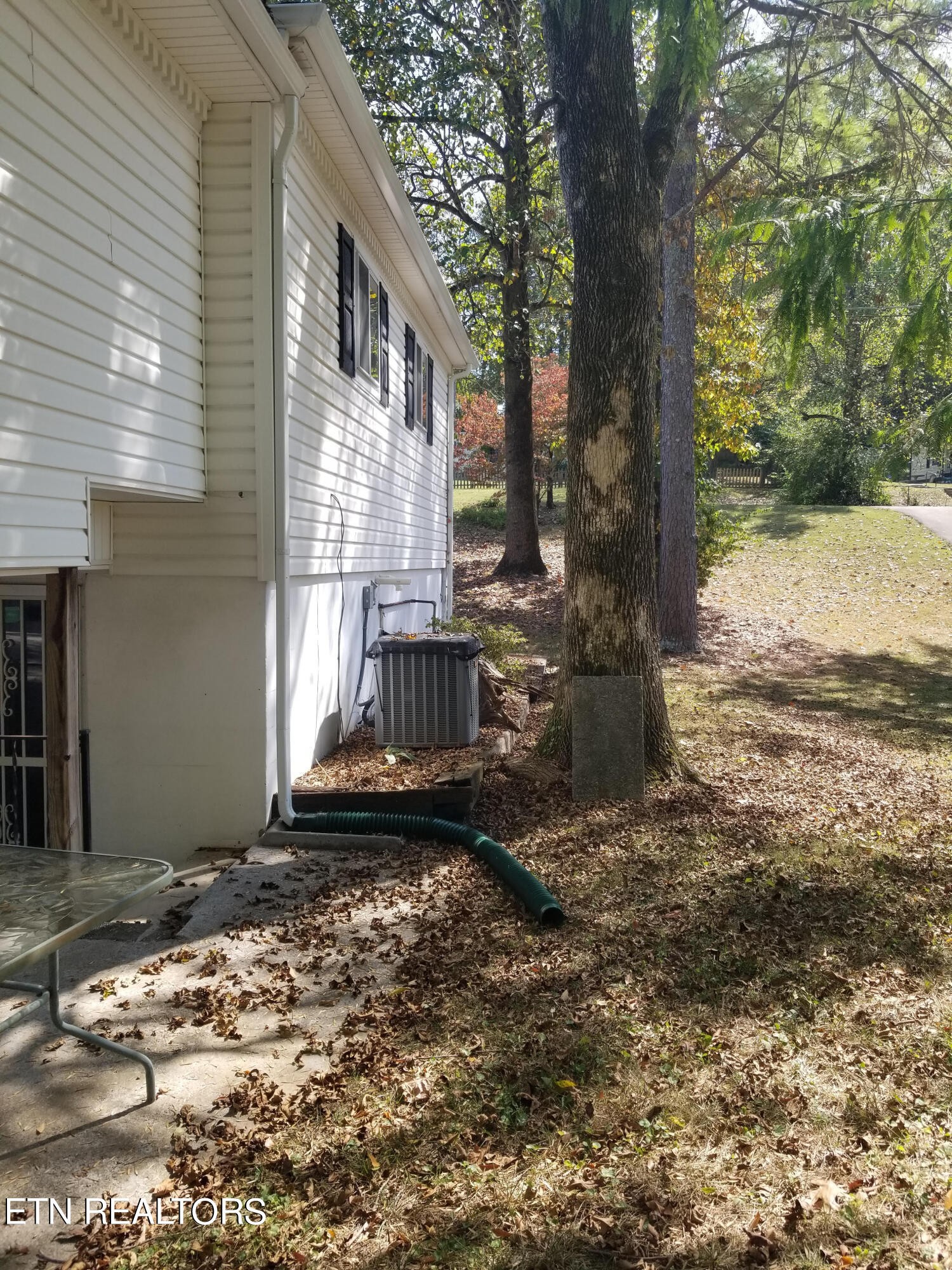 222 Manhattan Avenue Oak Ridge, TN 37830 - Photo 4 of 18