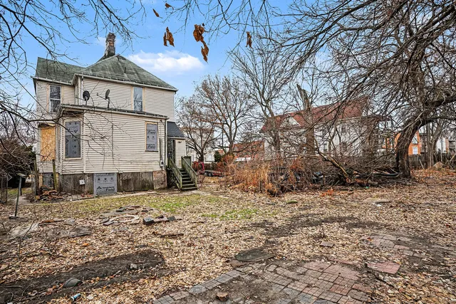 a view of a dry yard with large tree