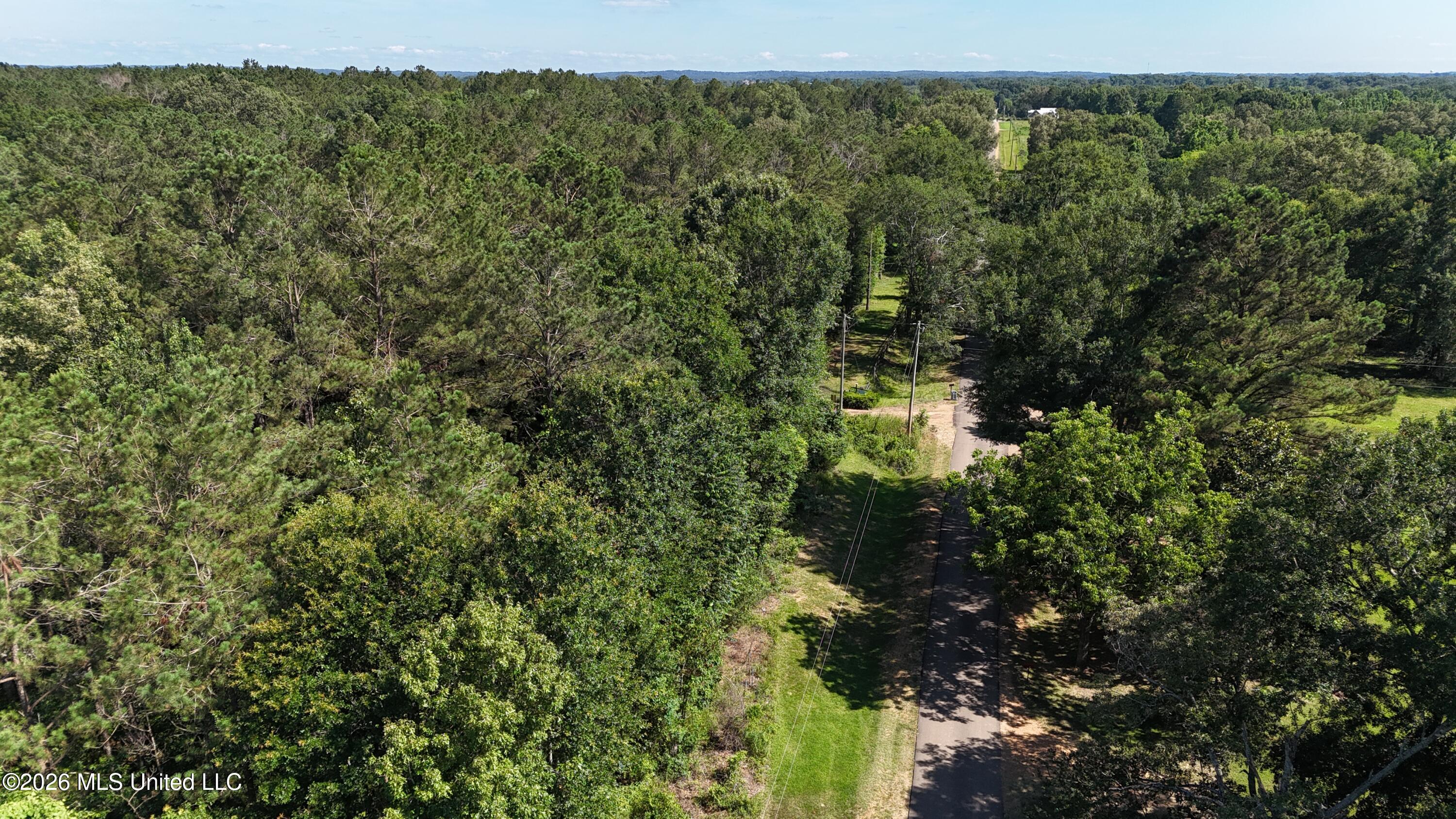 Willow Way Flora, MS 39071 - Photo 13 of 13 dji_fly_20260609_160452_0296_17811115718