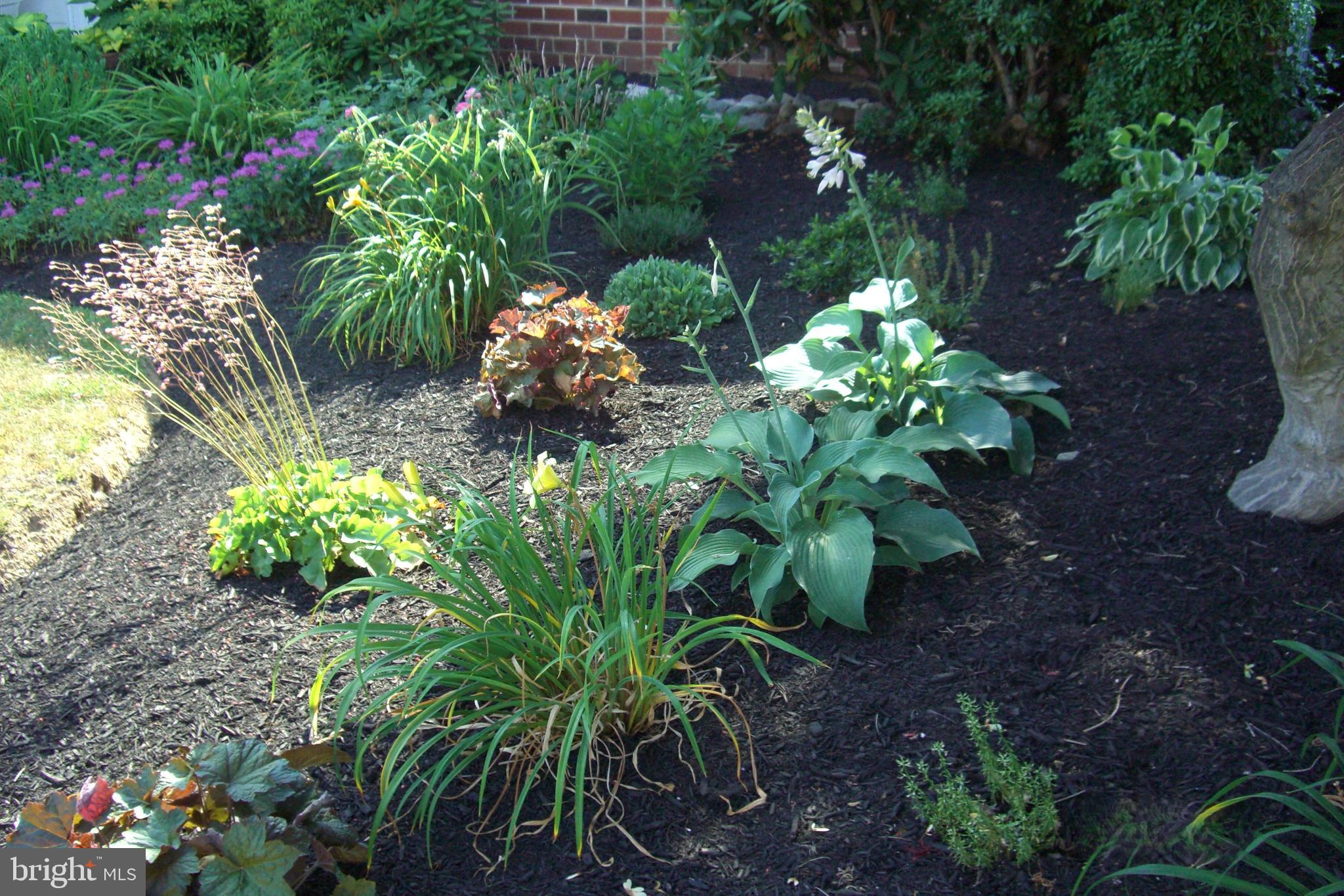 9204 Burbank Road Philadelphia, PA 19115 - Photo 31 of 43