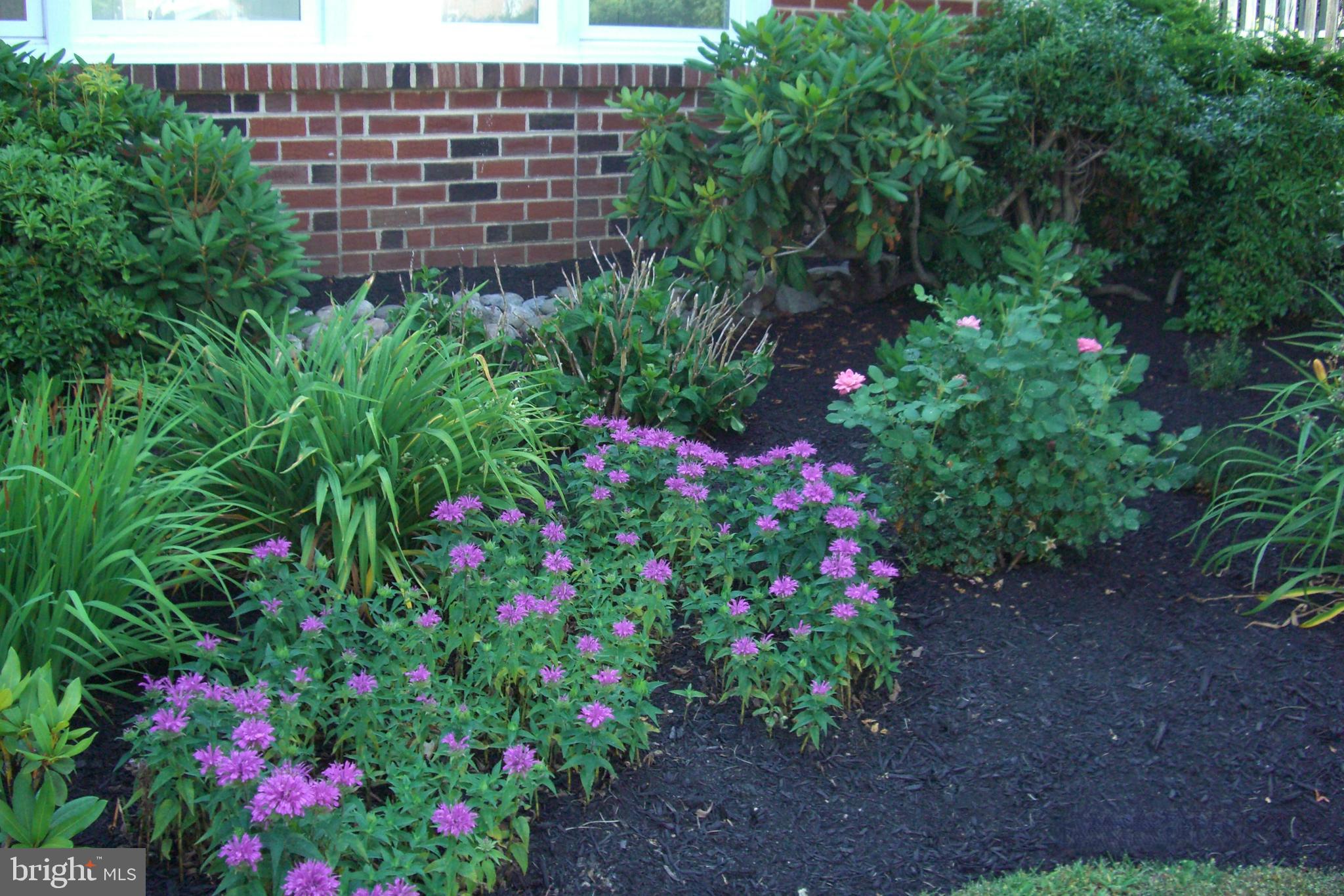 9204 Burbank Road Philadelphia, PA 19115 - Photo 32 of 43 a view of a pathway with plants and brick building in the background