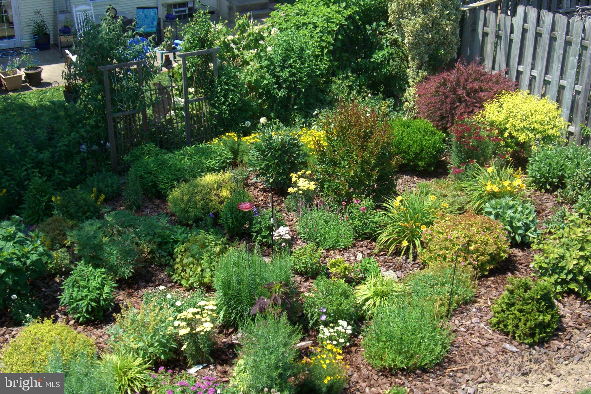 9204 Burbank Road Philadelphia, PA 19115 - Photo 34 of 43 a view of a garden with plants and a bench
