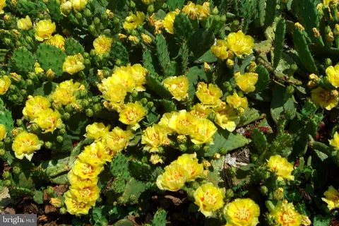 $565,000 | 9204 Burbank Road, Philadelphia, PA 19115