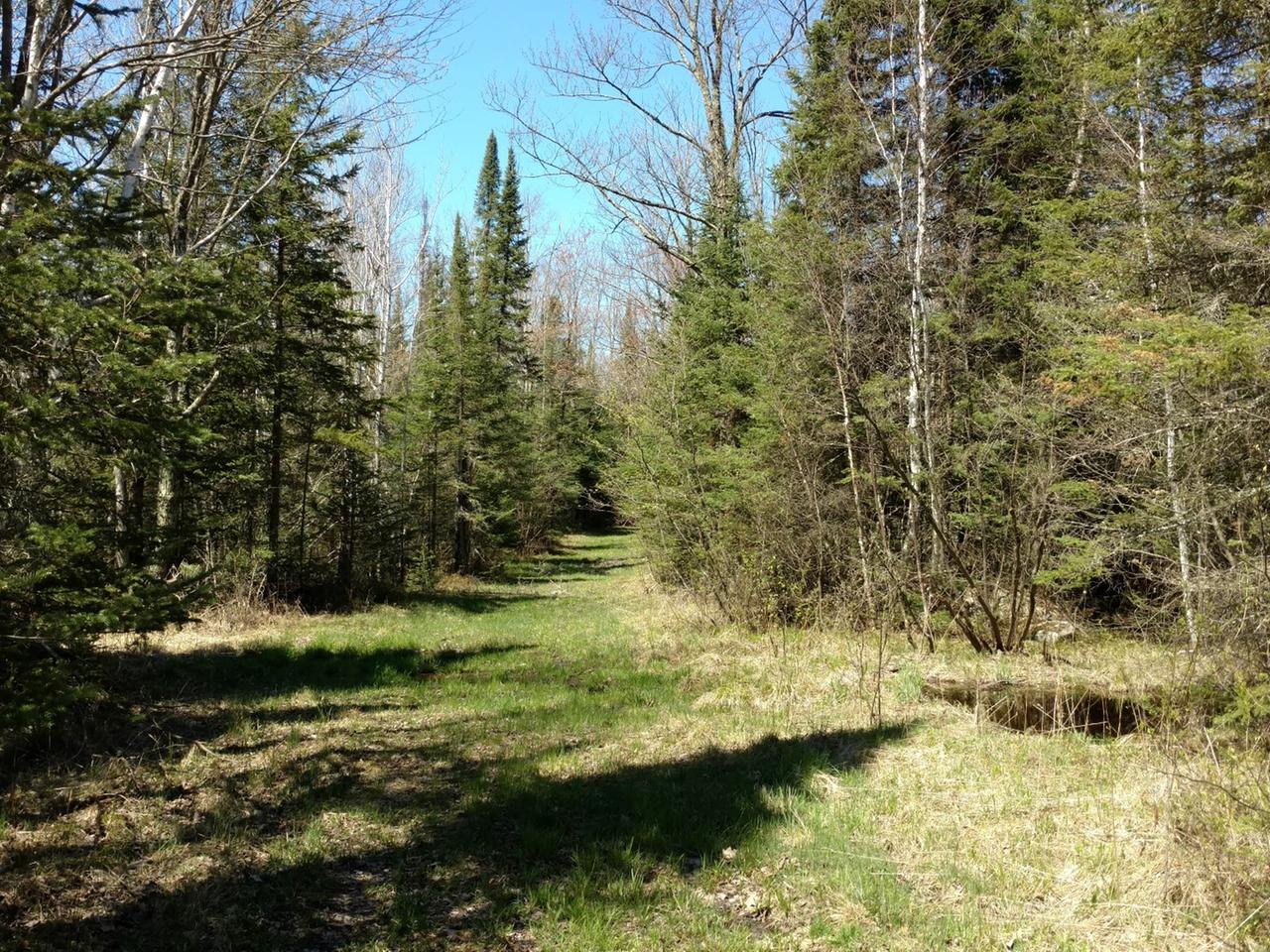 38-acres West Hackett Road Prentice, WI 54556 - Photo 3 of 12 Gallery Image 3
