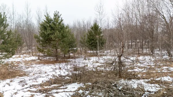 $399,900 | 0 State Highway, Pine City, MN 55063