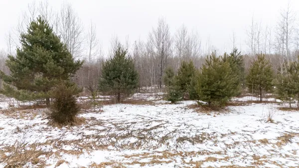$399,900 | 0 State Highway, Pine City, MN 55063