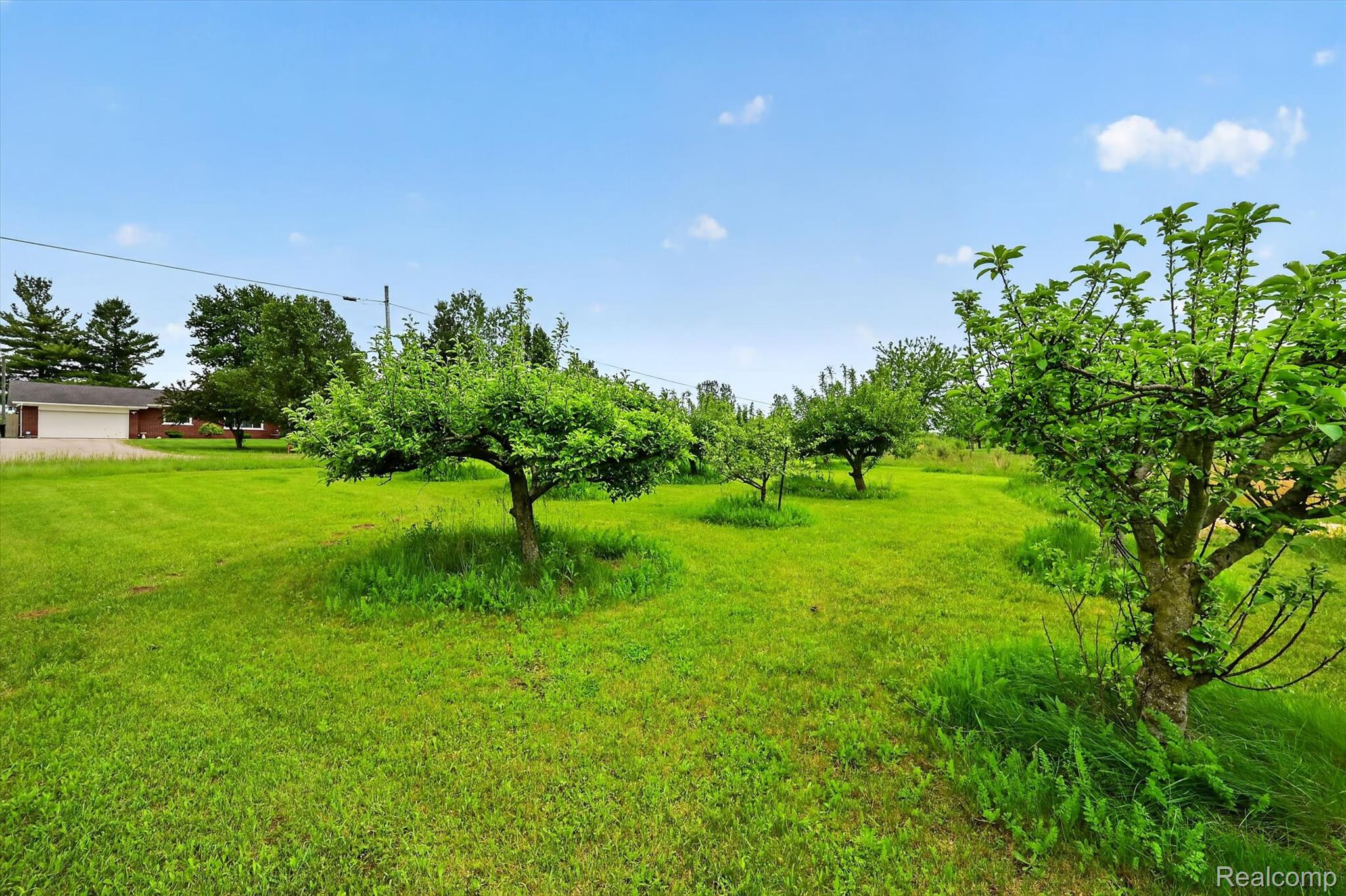 2533 West Sigler Road Carleton, MI 48117 - Photo 42 of 46 50-2533-W-Sigler-Rd-Windowstill-Photography.jpg