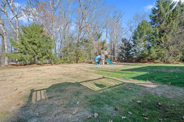 a view of a tree in a yard