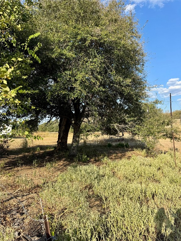 a view of outdoor space and yard