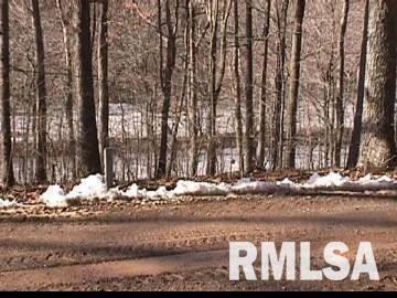 Lot 90 Lot Ridge Goreville, IL 62939 - Photo 1 of 3